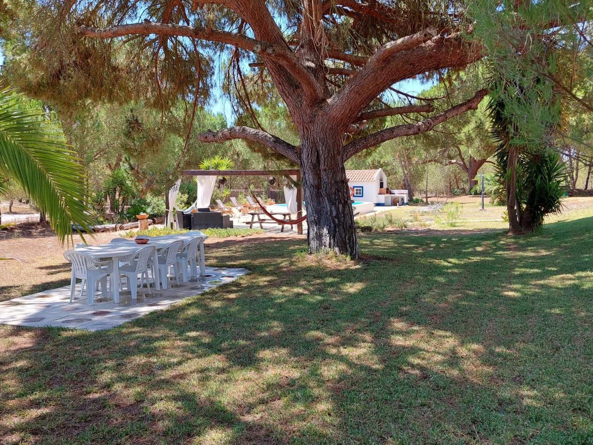 Vila Monte Do Pinheirinho São Domingos Exteriér fotografie